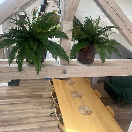 Attic Appart Stary Toruń Exteriör bild