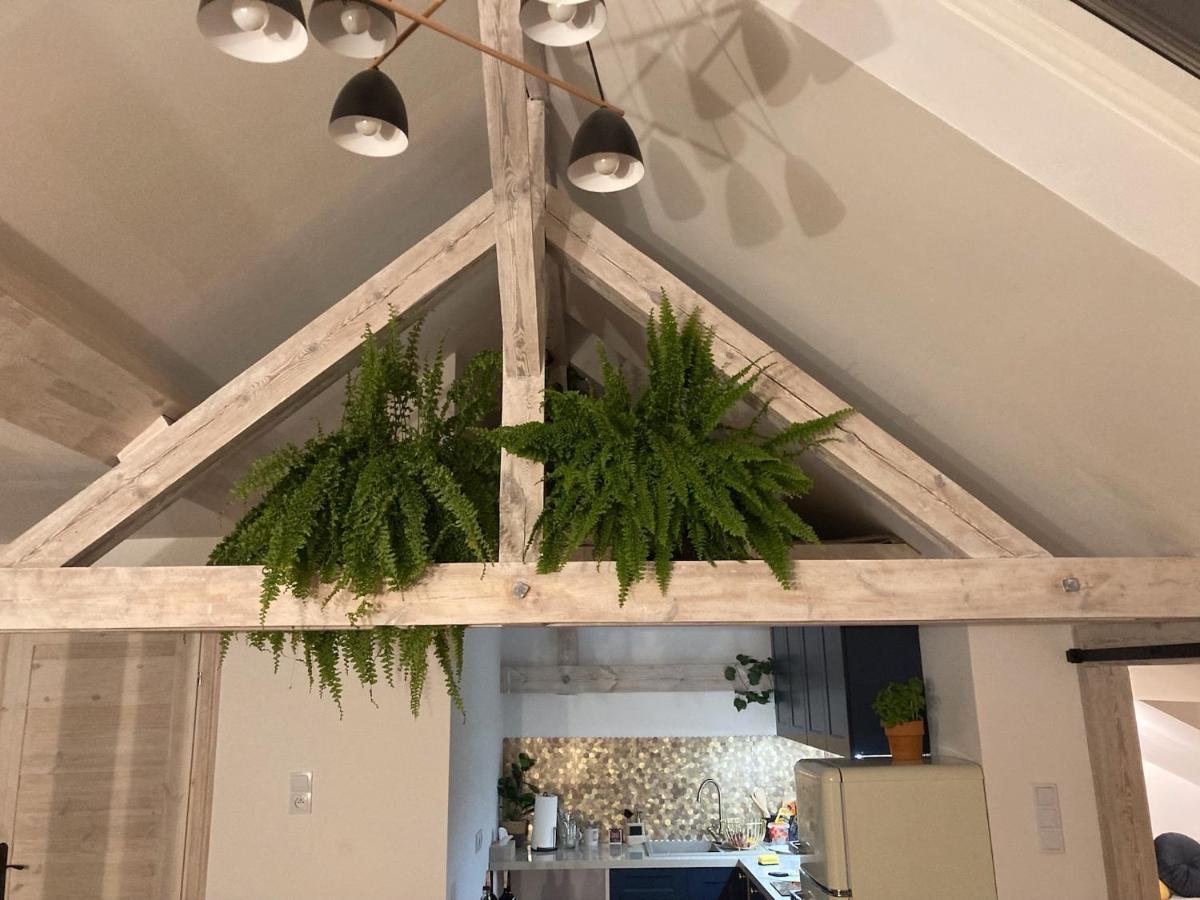 Attic Appart Stary Toruń Exteriör bild