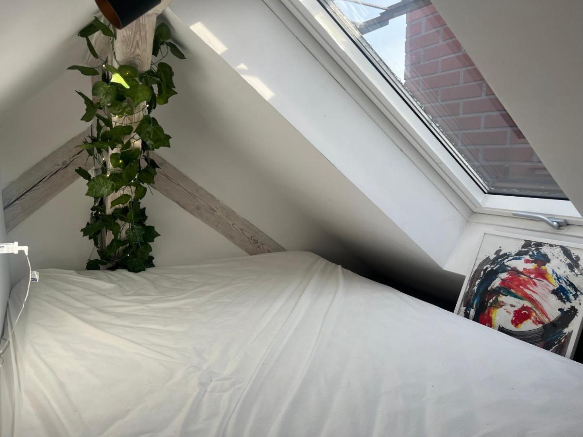 Attic Appart Stary Toruń Exteriör bild
