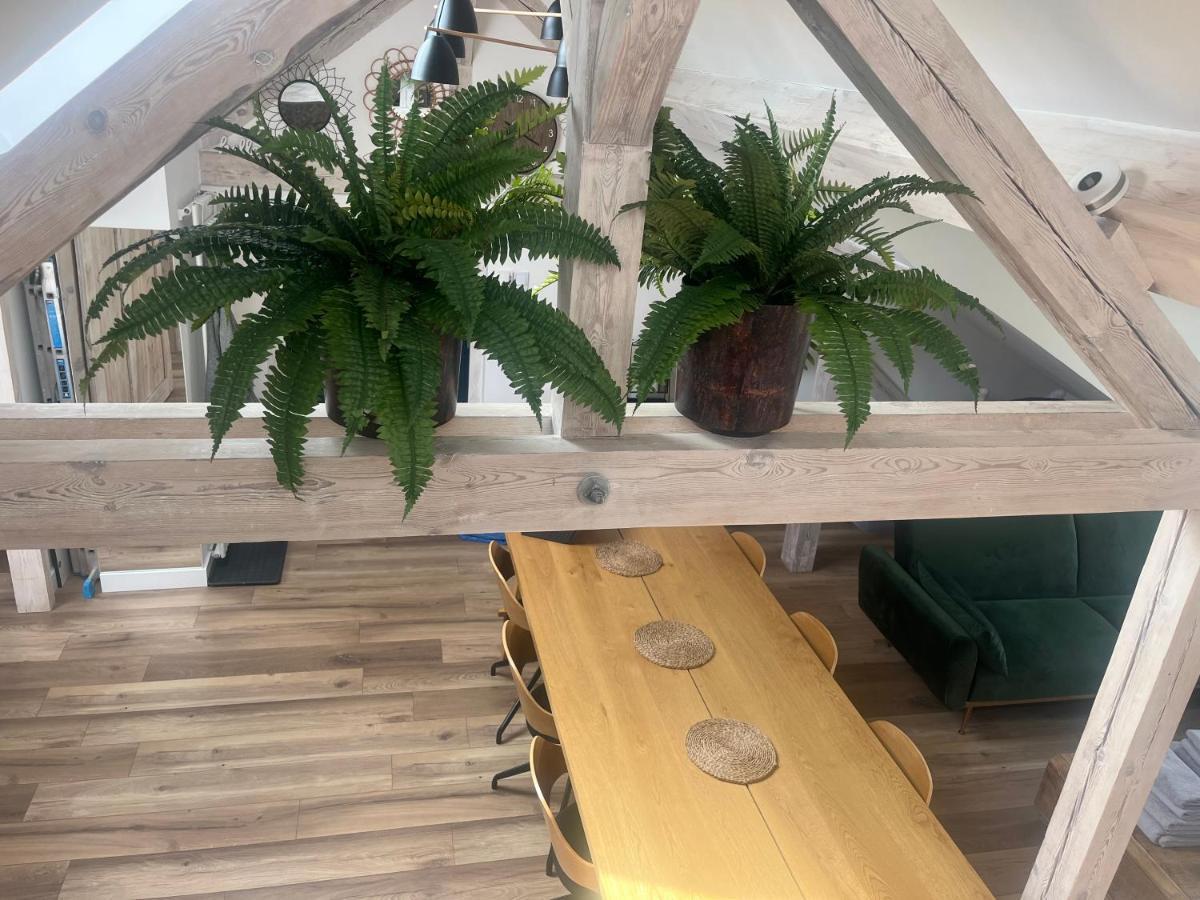 Attic Appart Stary Toruń Exteriör bild