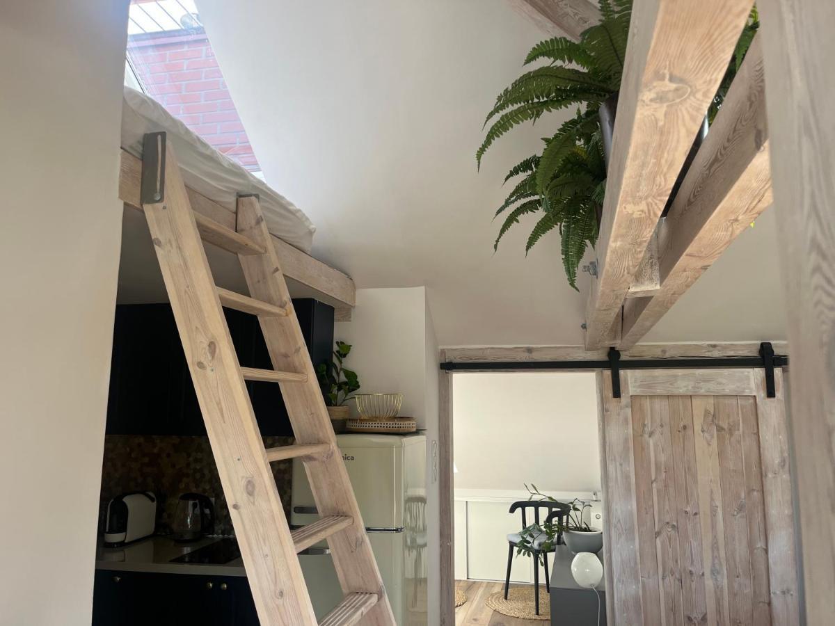 Attic Appart Stary Toruń Exteriör bild